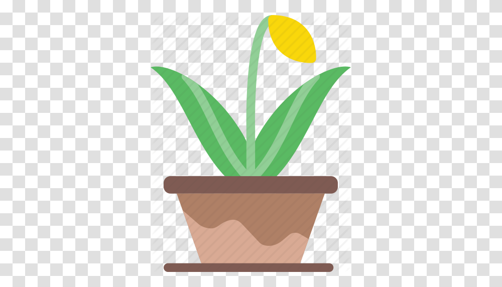 Flower Garden Plant Pot Soil Icon, Blossom, Leaf, Iris, Balloon Transparent Png