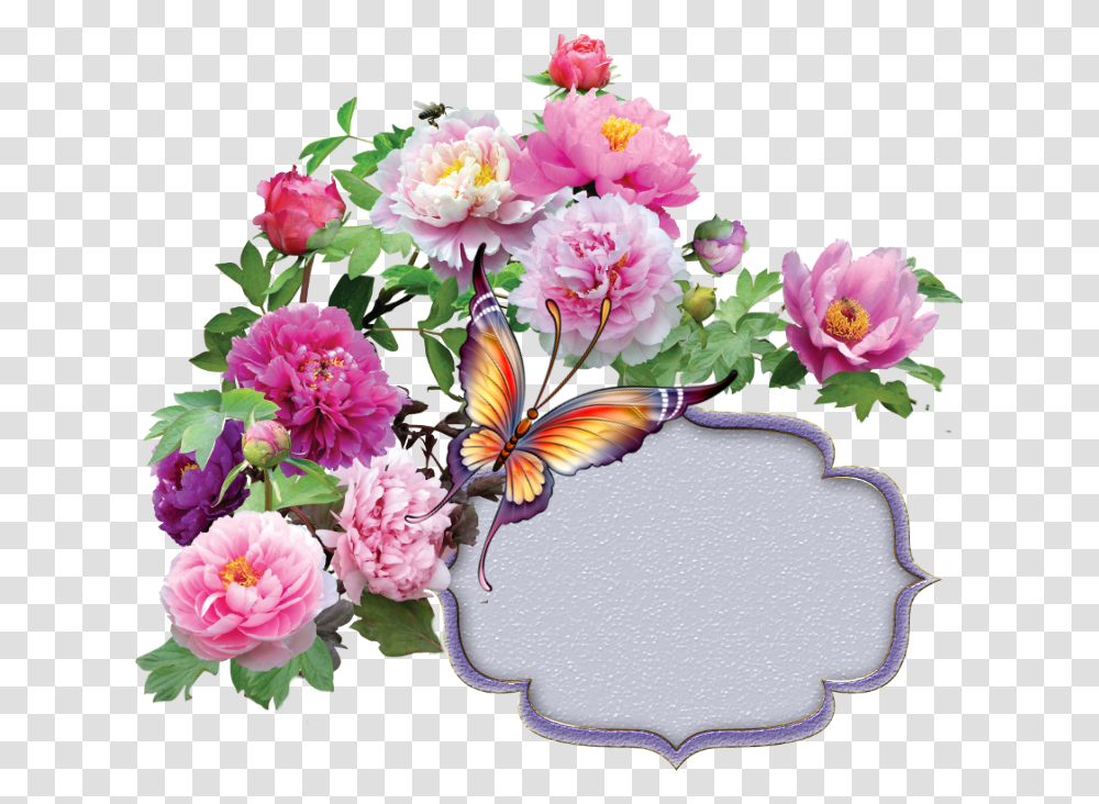 Flower Garland Flower For Corner, Plant, Blossom, Carnation, Peony Transparent Png