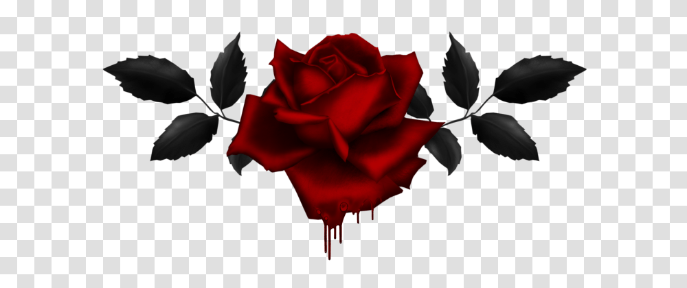 Flower Gothic Hd Rose, Plant, Blossom, Petal, Dance Transparent Png