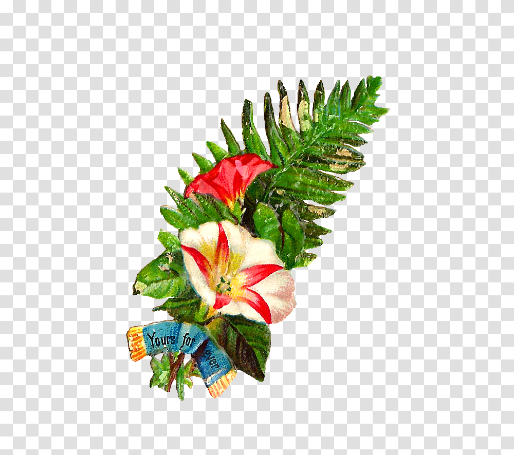 Flower Graphic Images, Plant, Blossom, Flower Arrangement, Flower Bouquet Transparent Png
