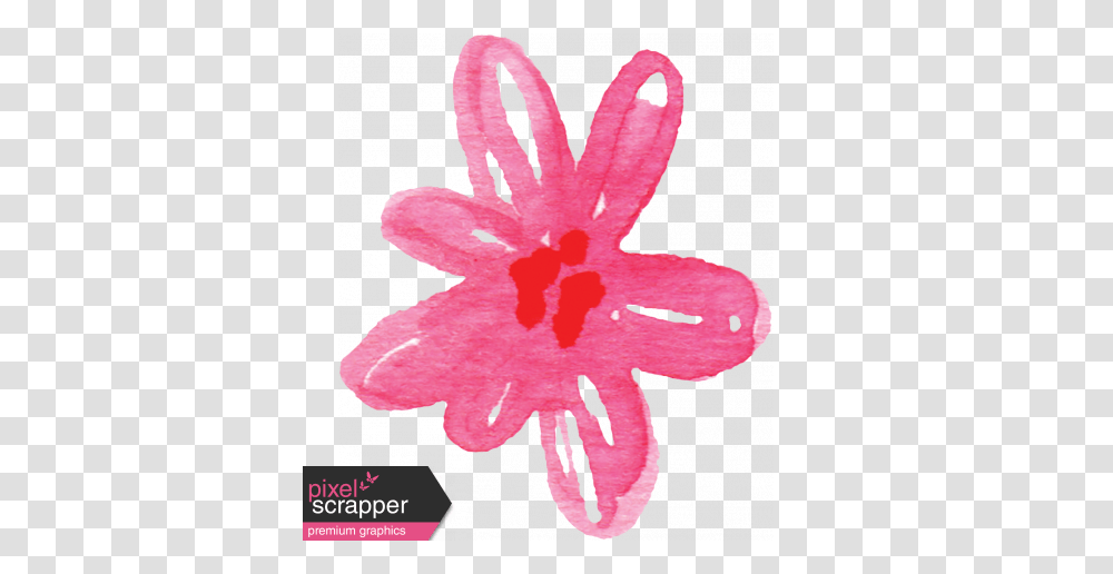 Flower Graphic, Rug, Hibiscus, Plant, Blossom Transparent Png