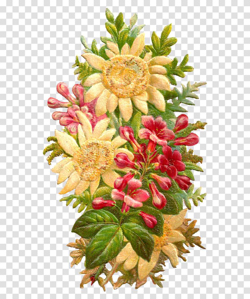 Flower Graphic This Is An Amazingly Pretty Digital Protea Family, Plant, Pattern, Floral Design, Graphics Transparent Png