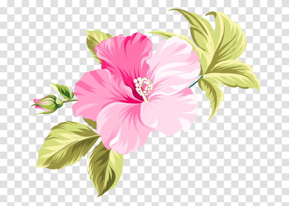 Flower Hawaii Clip Art Pink Beautiful Flower Vector, Plant, Hibiscus, Blossom Transparent Png