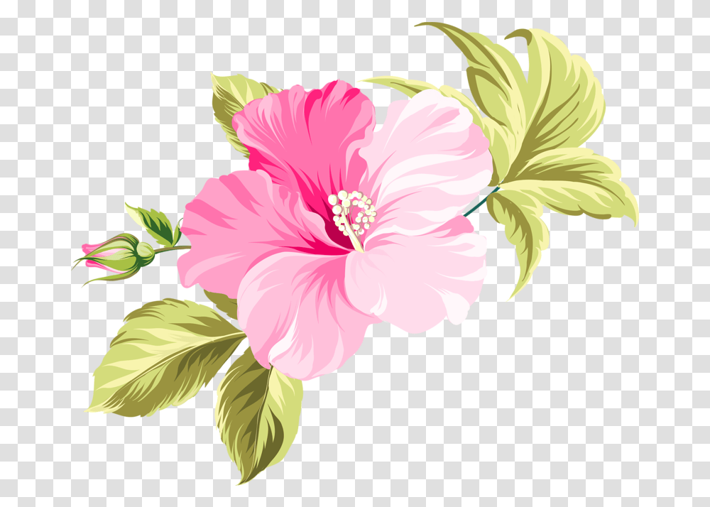 Flower Hawaii Clip Art Pink Flower Vector, Plant, Hibiscus, Blossom Transparent Png