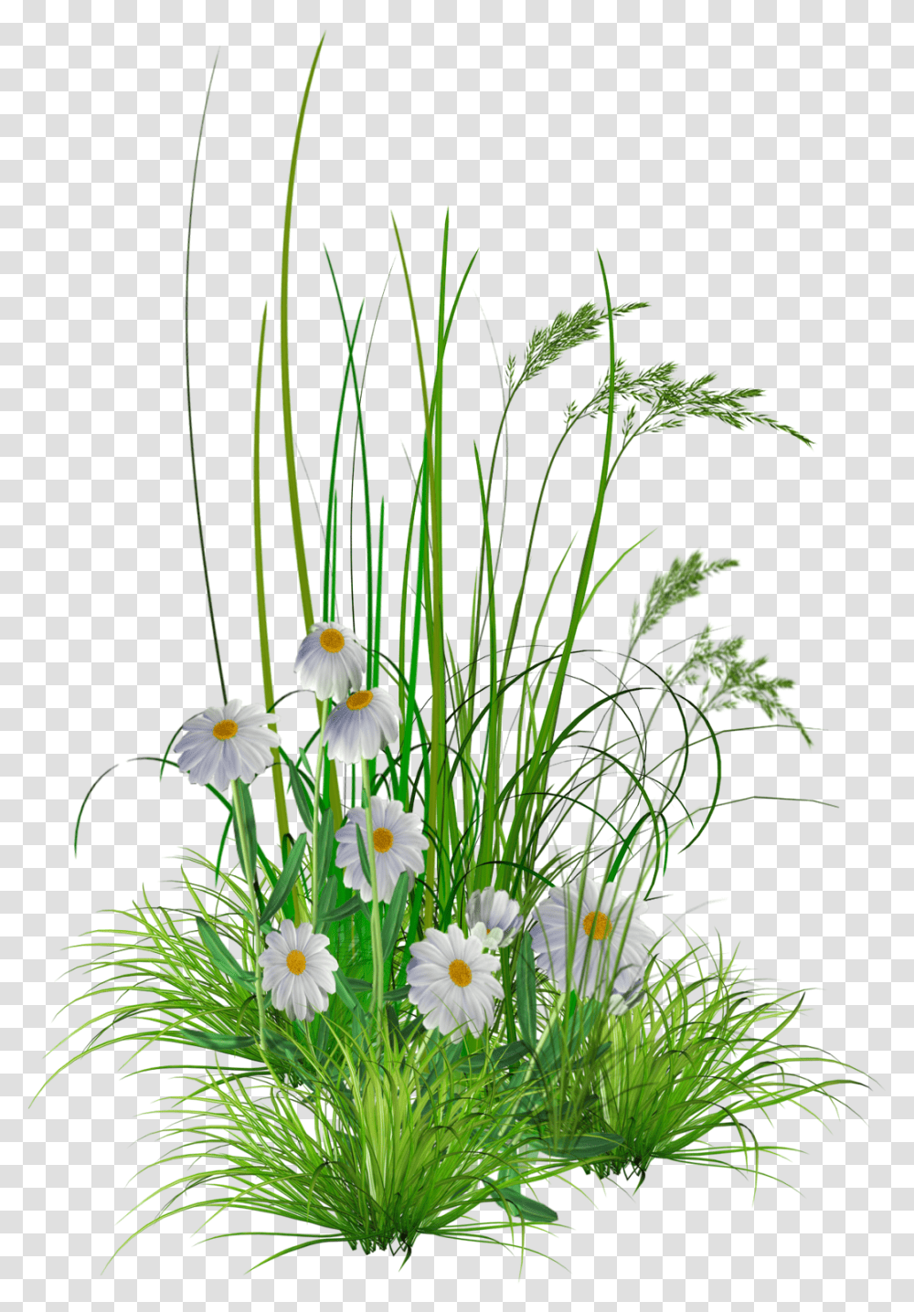 Flower Hd Background 17955 Free Icons And Flower Images Hd, Potted Plant, Vase, Jar, Pottery Transparent Png