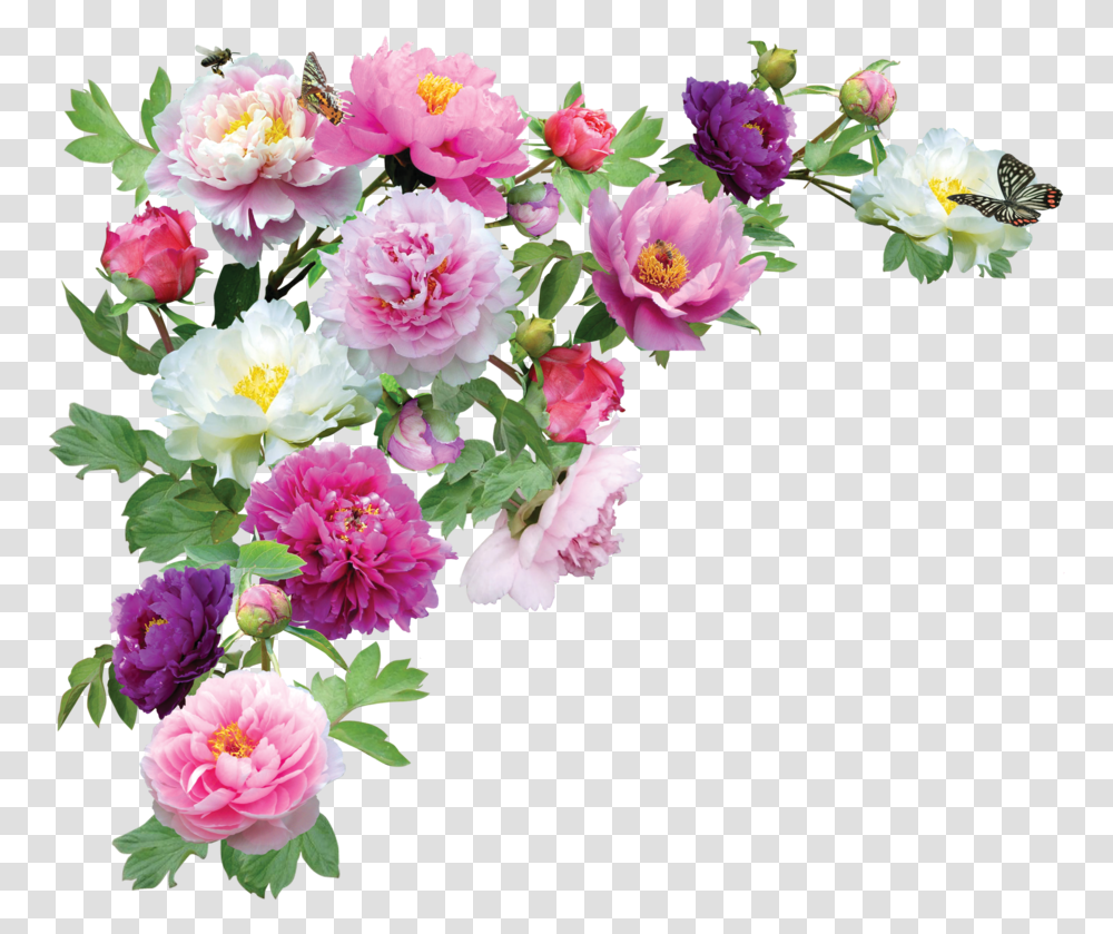 Flower Hd Hdpng Images Pluspng Background Flowers, Plant, Blossom, Peony, Flower Bouquet Transparent Png