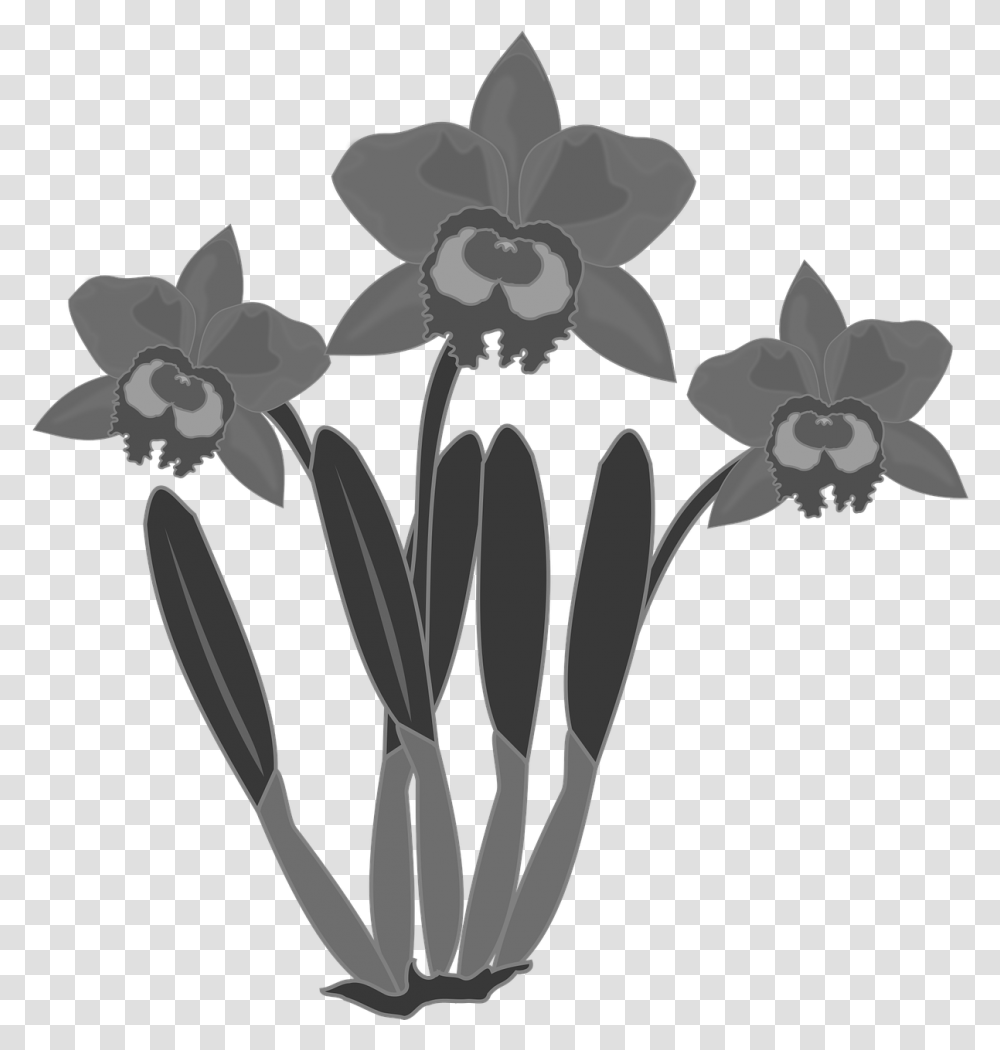 Flower Headband Flower Orchid Clipart Black And White, Plant, Floral Design, Pattern Transparent Png