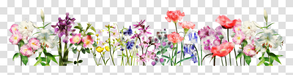 Flower Header Clipart Picture Royalty Free Download Spring Flower Banner, Plant, Petal, Geranium, Pollen Transparent Png