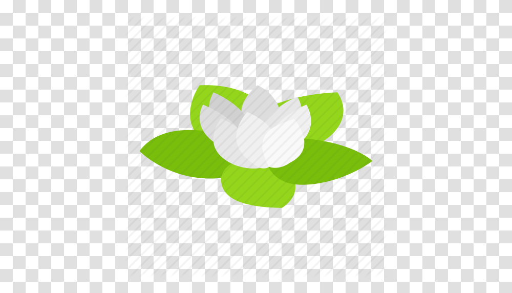 Flower Health Isometric Lotus Nature Spa Yoga Icon, Plant, Icing, Food, Petal Transparent Png