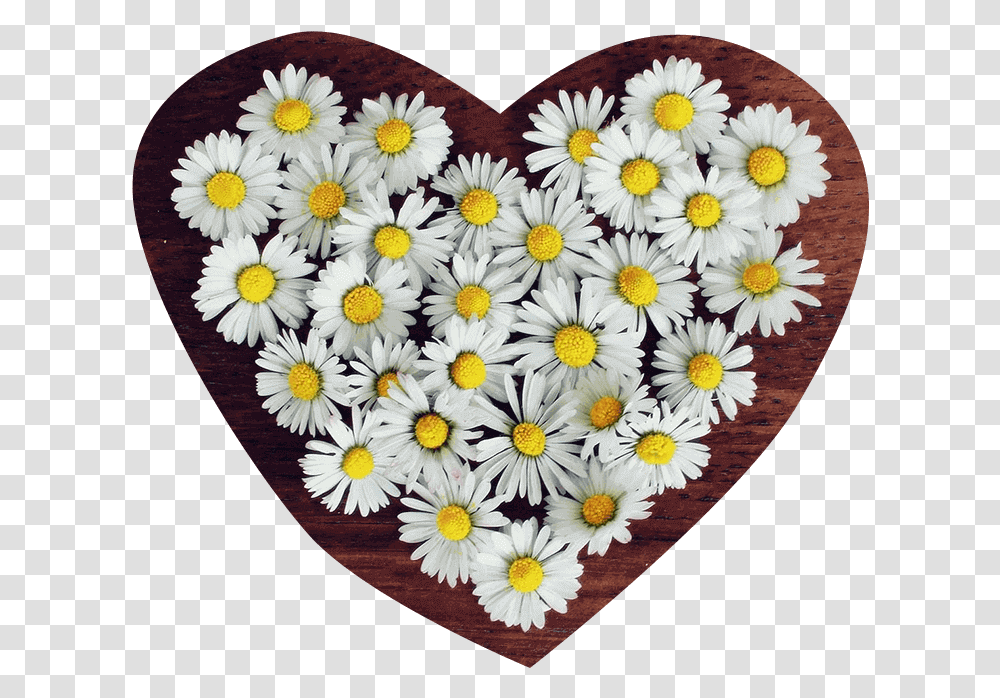 Flower Heart Profile Icon Whatsapp Flower, Rug, Plant, Floral Design, Pattern Transparent Png