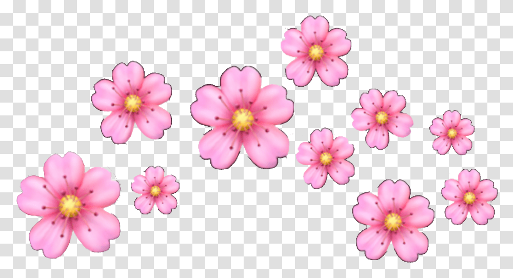 Flower Heartcrown Flowercrown Pink Floweremoji Iphone Pink Flower Emoji, Plant, Blossom, Petal, Anther Transparent Png