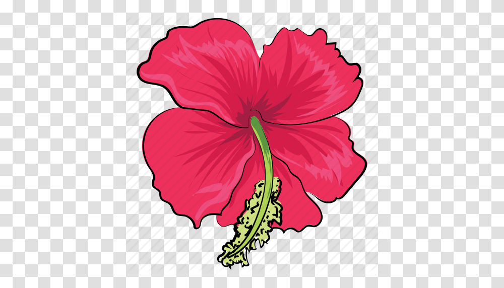 Flower Hibiscus Hibiscus Flower Rhododendron Rhododendron, Plant, Blossom Transparent Png