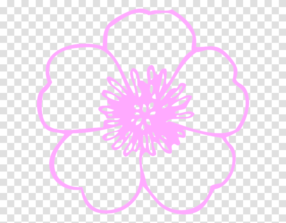 Flower Huge Petals Fresh Pink White Flower Clip Art Free, Plant, Blossom, Pattern, Pollen Transparent Png