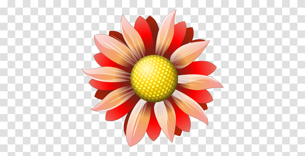 Flower Icon Flower Icon, Plant, Blossom, Daisy, Daisies Transparent Png