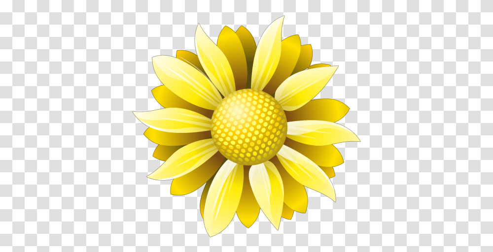 Flower Icon Flower Icon, Plant, Blossom, Daisy, Daisies Transparent Png