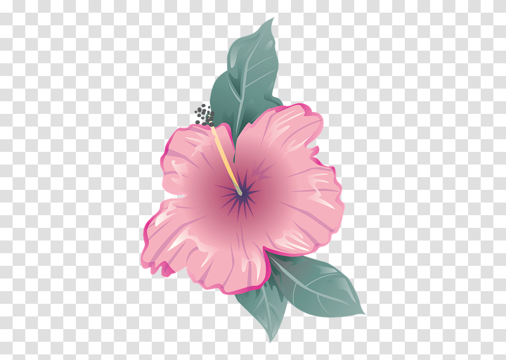 Flower Icon Symbol Flower Icon Pink, Hibiscus, Plant, Blossom, Person Transparent Png