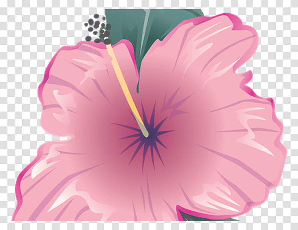 Flower Icon Symbol Free Image On Pixabay Bunga Icon Pink, Hibiscus, Plant, Blossom, Petal Transparent Png