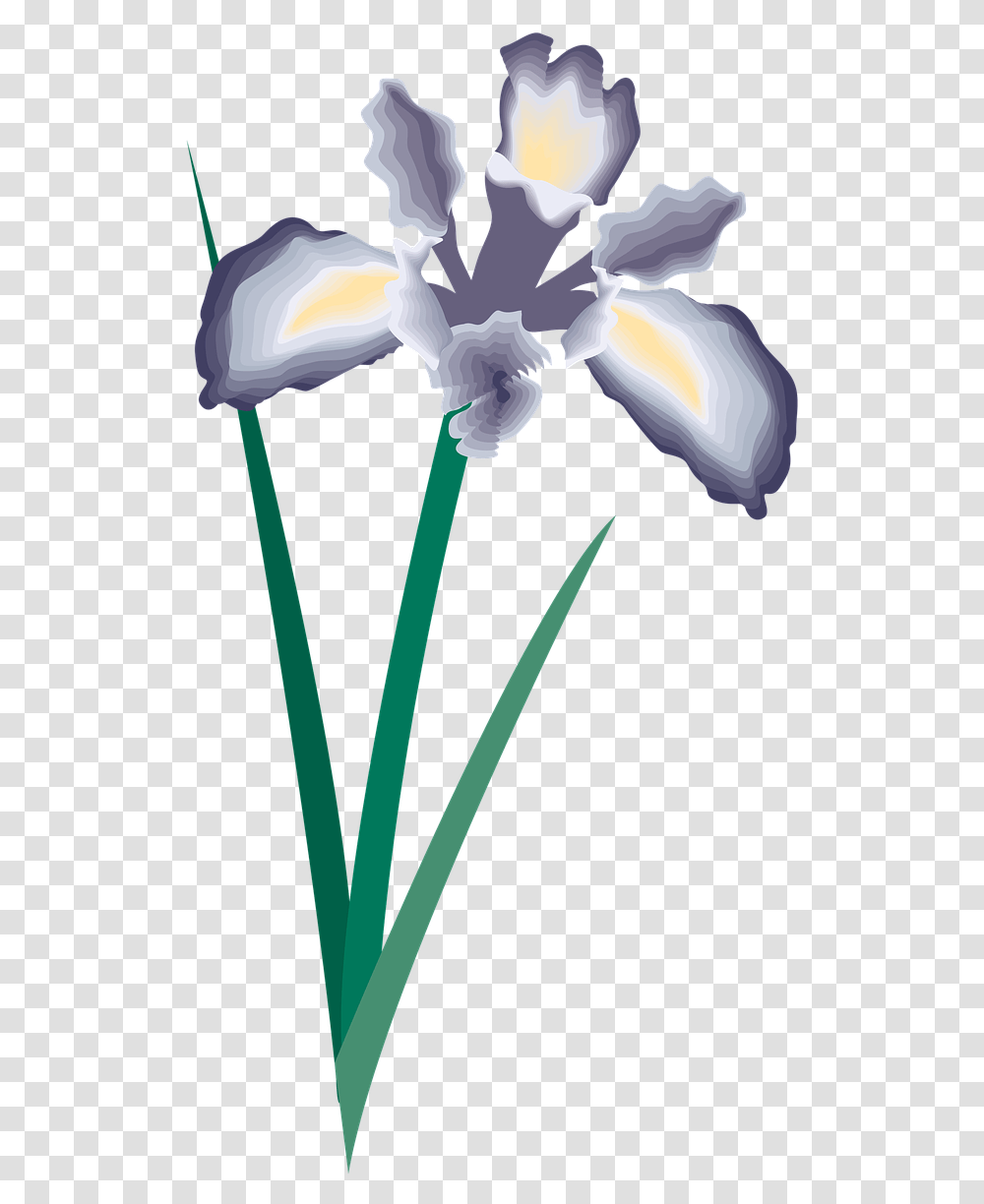 Flower Icon Symbol Free Image On Pixabay Clipart Decoration, Plant, Petal, Iris, Daffodil Transparent Png