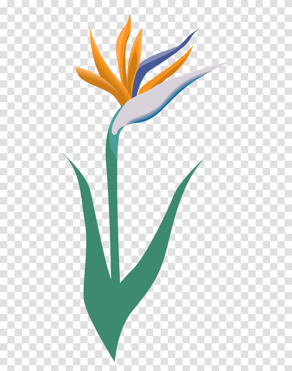 Flower Icon Symbol Free Image On Pixabay Flower, Plant, Blossom, Bird, Animal Transparent Png