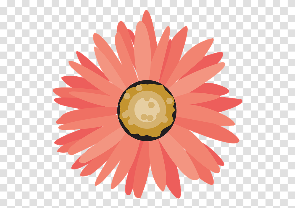 Flower Icon Symbol Nature Plant Bang Sign Petals Rasterize Meaning, Blossom, Daisy, Daisies, Asteraceae Transparent Png