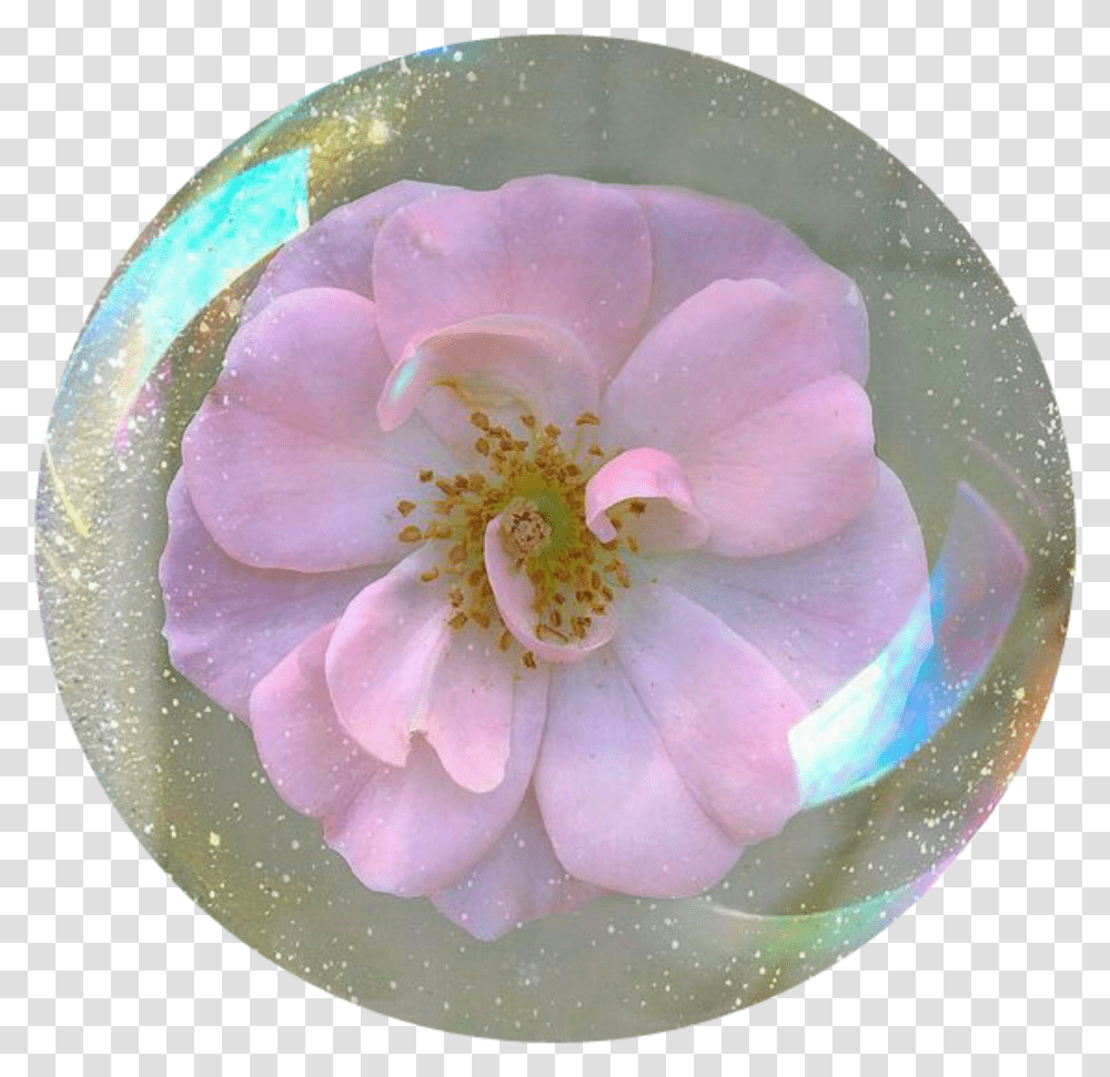Flower Icon Tumblr Flower Spring Aesthetic Glitter, Plant, Sphere, Rose, Blossom Transparent Png