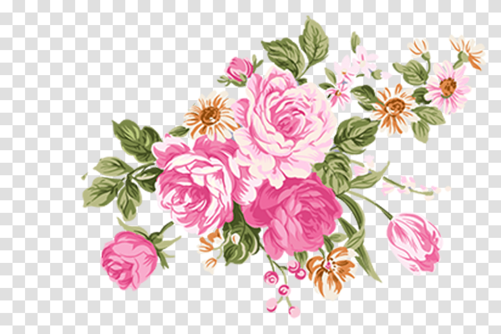 Flower Illustrations Of Rose High Definition Material Vector Flower Illustration, Plant, Blossom Transparent Png