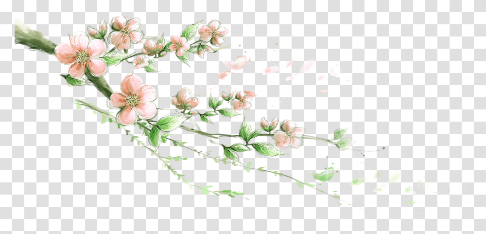 Flower Image 4k, Floral Design, Pattern Transparent Png