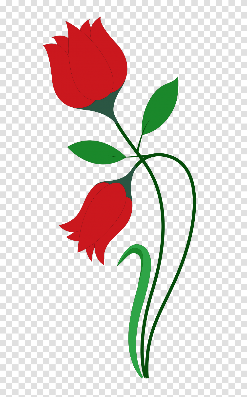 Flower Image Daisy, Plant, Rose, Blossom, Vase Transparent Png