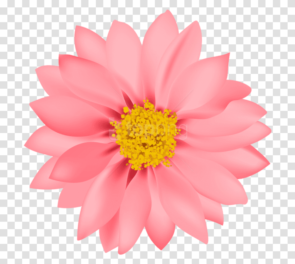 Flower Images Flower Background, Plant, Anther, Blossom, Dahlia Transparent Png