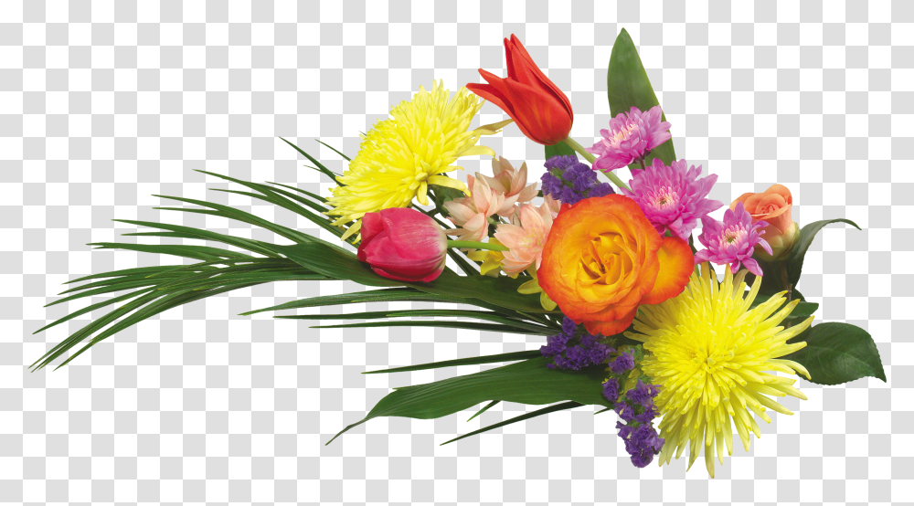 Flower Images Flowers, Plant, Blossom, Flower Arrangement, Flower Bouquet Transparent Png