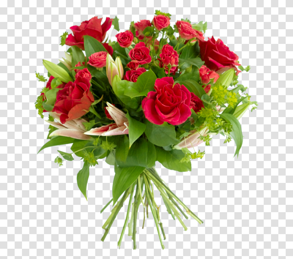 Flower Images, Plant, Flower Bouquet, Flower Arrangement, Blossom Transparent Png