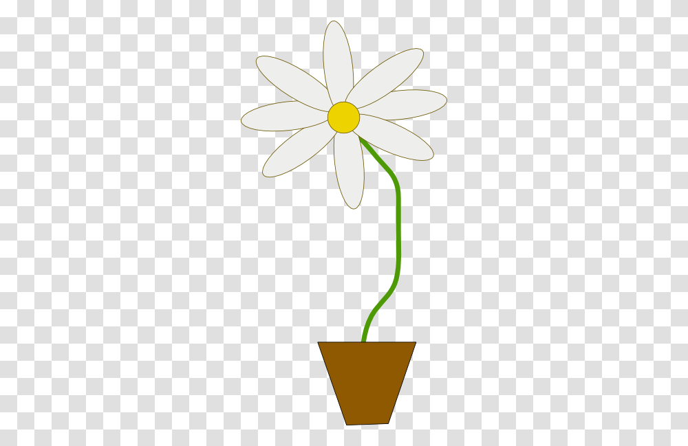 Flower In A Pot Clip Art, Plant, Blossom, Lily, Daisy Transparent Png