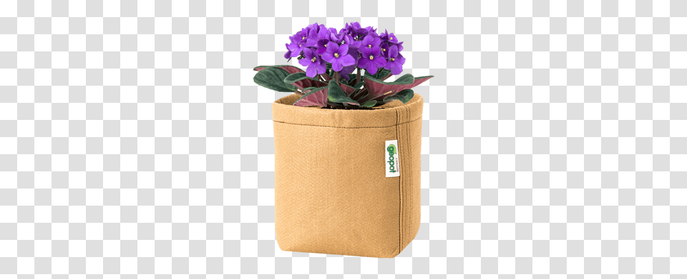 Flower In A Pot, Potted Plant, Vase, Jar, Pottery Transparent Png
