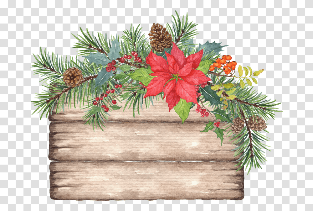 Flower In Crate For Holiday, Tree, Plant, Conifer, Floral Design Transparent Png