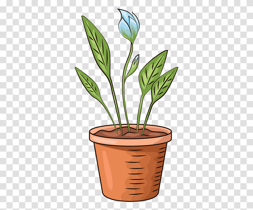 Flower In Pot Clipart Free Download Pot With Flower Clipart, Plant, Blossom, Leaf, Petal Transparent Png