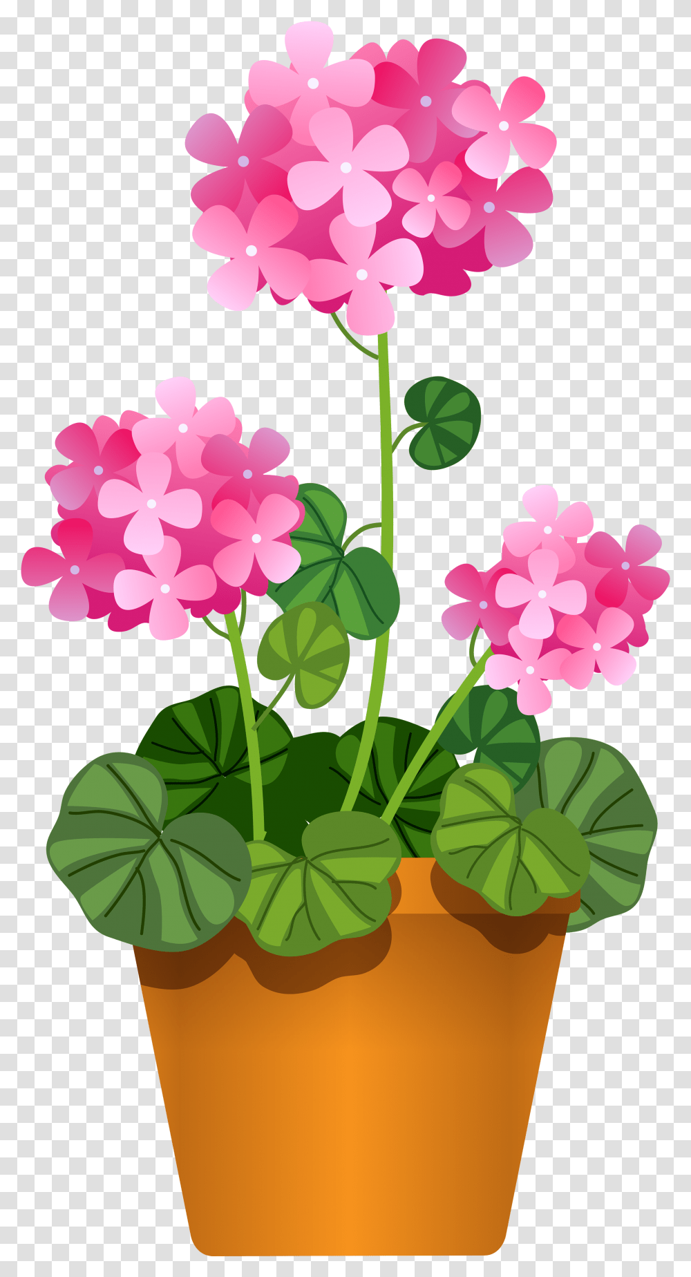 Flower In Pot Clipart, Plant, Blossom, Geranium, Petal Transparent Png