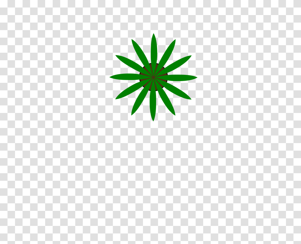 Flower Logo Green Plant Stem Leaf, Blossom, Daisy, Daisies, Aster Transparent Png