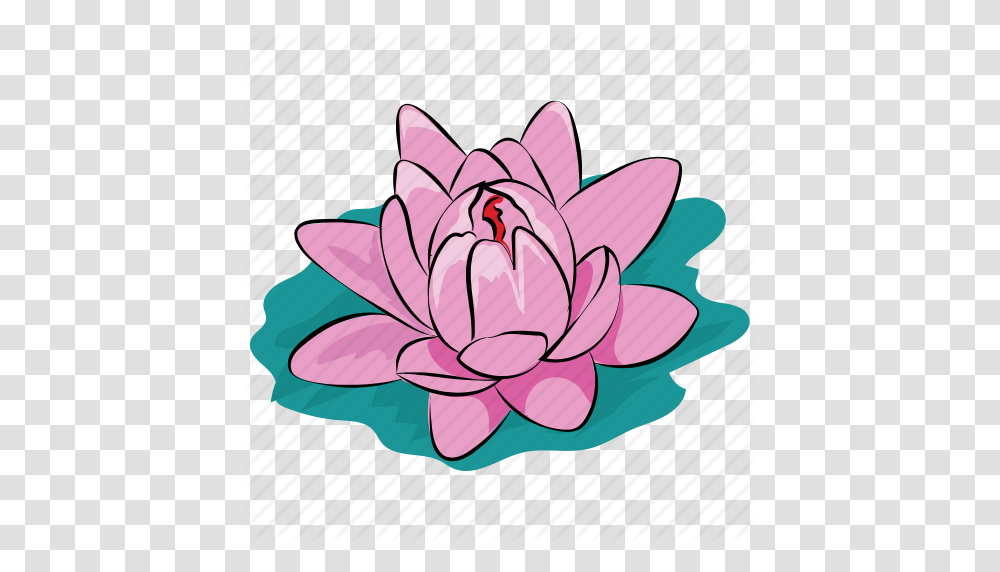 Flower Lotus Lotus Flower Pond Summer Water Waterlily Icon, Plant, Blossom, Pond Lily, Dahlia Transparent Png