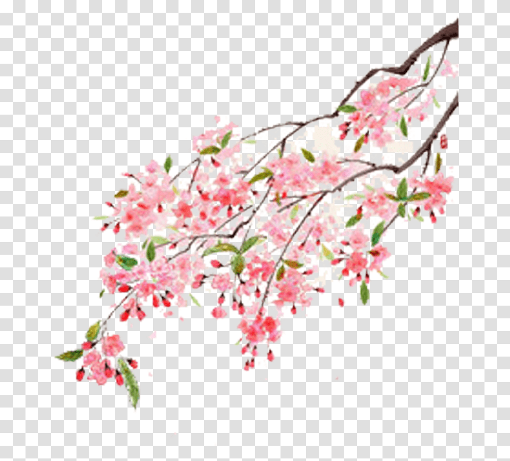 Flower Moutan Peony Illustration Cherry Blossom Flower Tree Branches, Plant, Plot, Fruit Transparent Png
