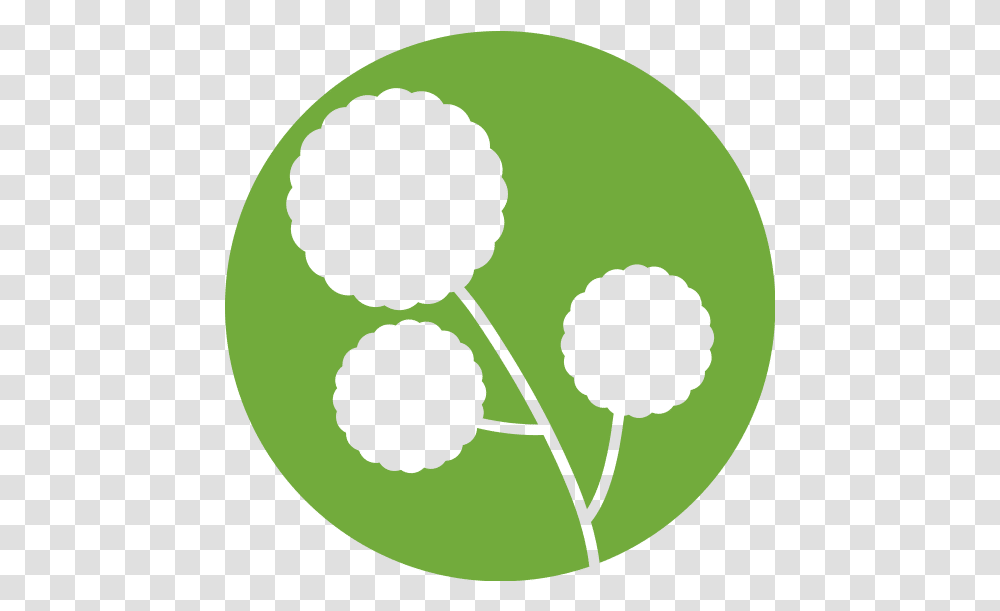 Flower Natural Icon Dot, Sphere, Green, Alien, Symbol Transparent Png