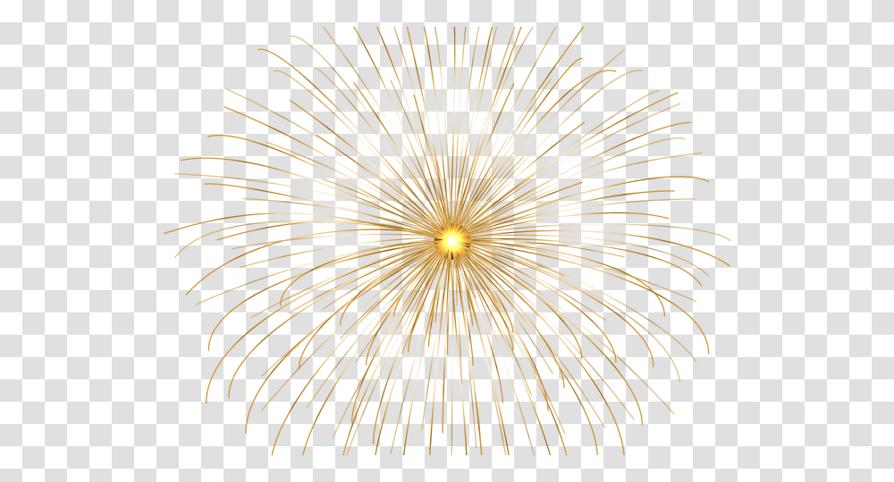 Flower, Nature, Outdoors, Night, Fireworks Transparent Png