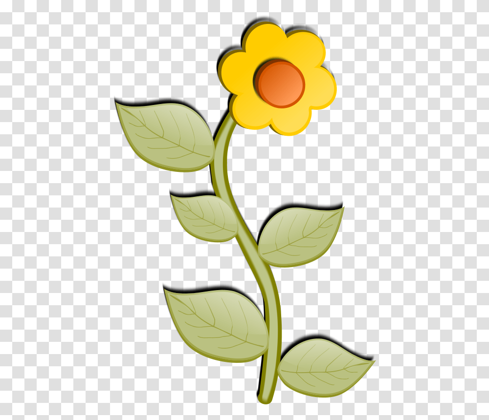 Flower, Nature, Plant, Blossom, Leaf Transparent Png