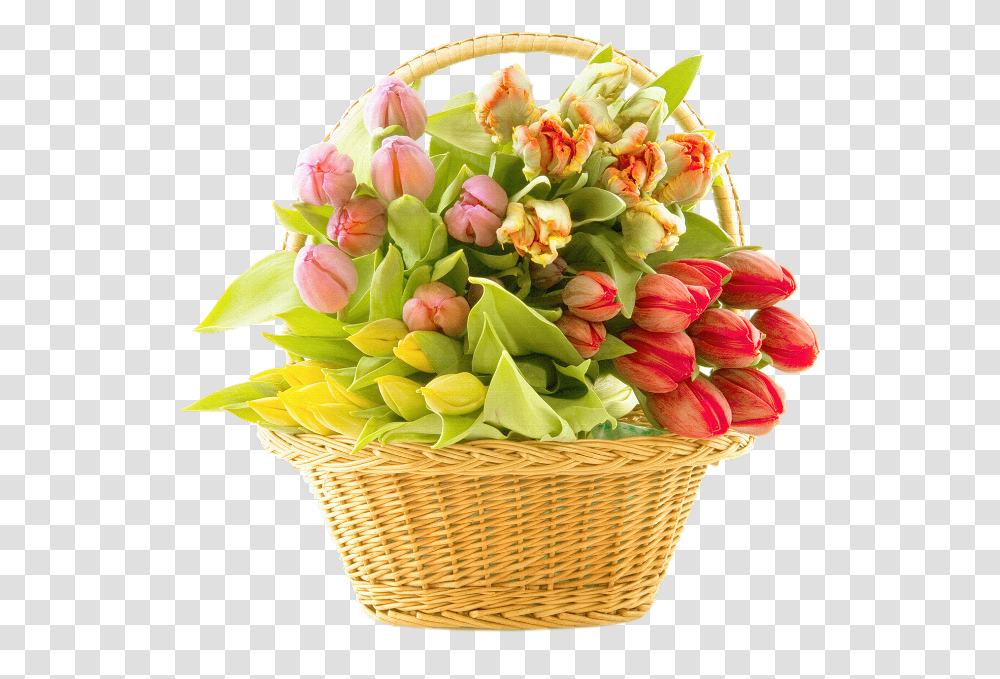 Flower Of Basket, Plant, Flower Bouquet, Flower Arrangement, Blossom Transparent Png
