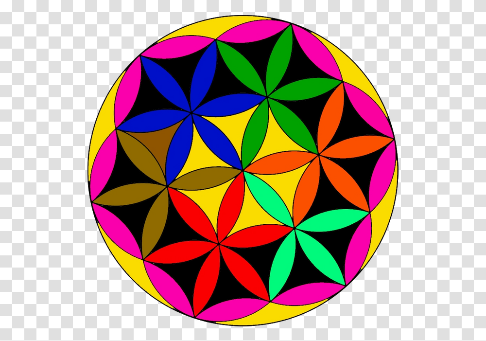 Flower Of Life Blume Des Lebens - Steemit Circle, Ornament, Pattern, Fractal, Painting Transparent Png