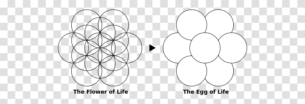 Flower Of Life Flower Egg Of Life, Lamp, Face, Text, White Transparent Png