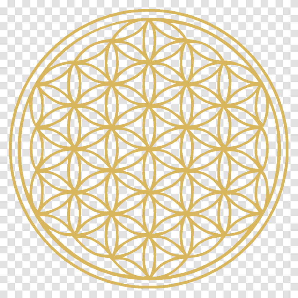 Flower Of Life Flower Of Life Large, White, Texture, Soil, Outdoors Transparent Png