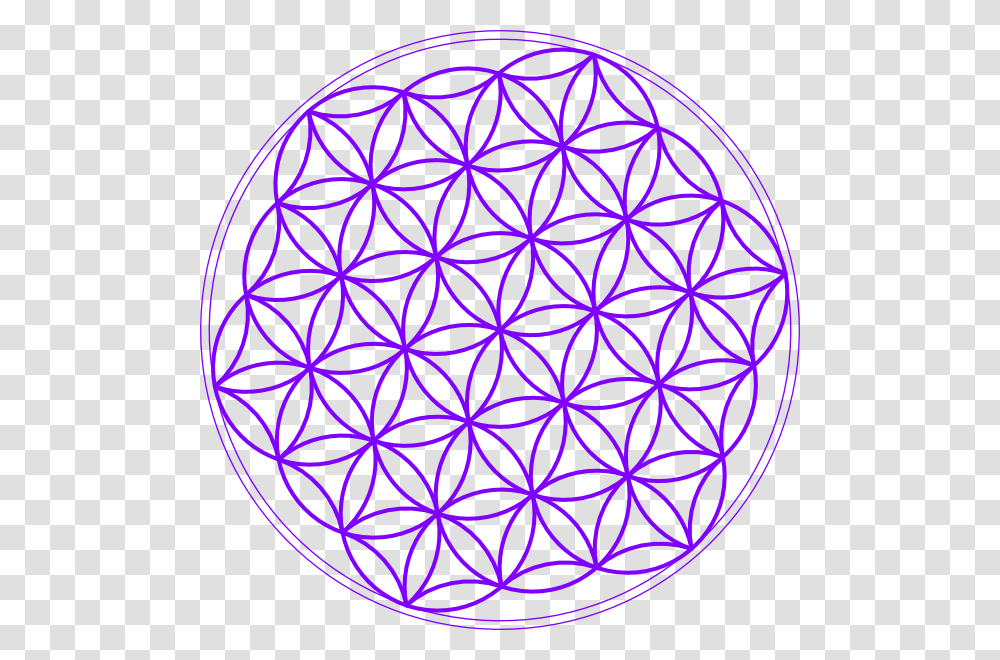 Flower Of Life Grid, Pattern, Ornament, Sphere, Fractal Transparent Png