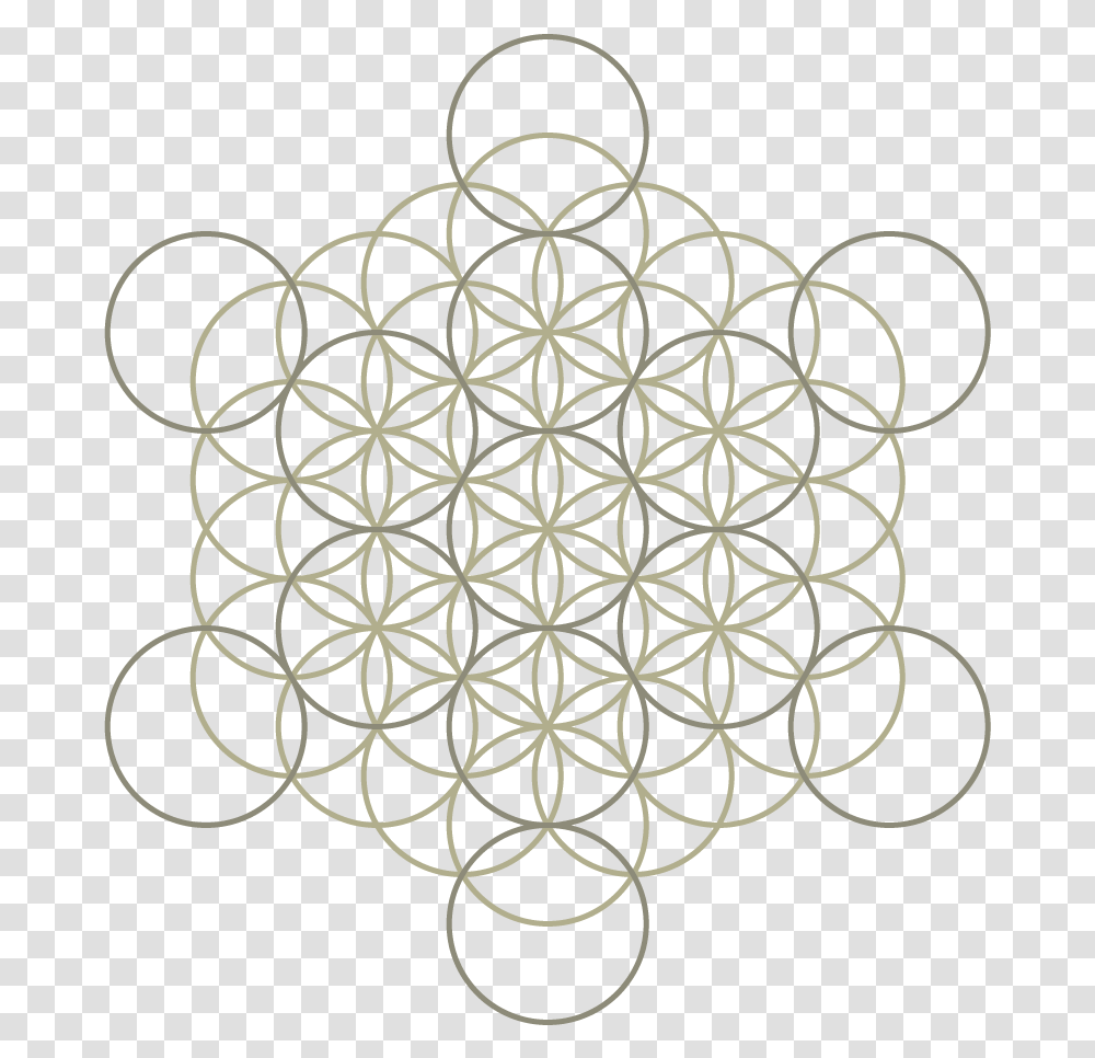 Flower Of Life L, Chandelier, Lamp, Pattern, Sphere Transparent Png