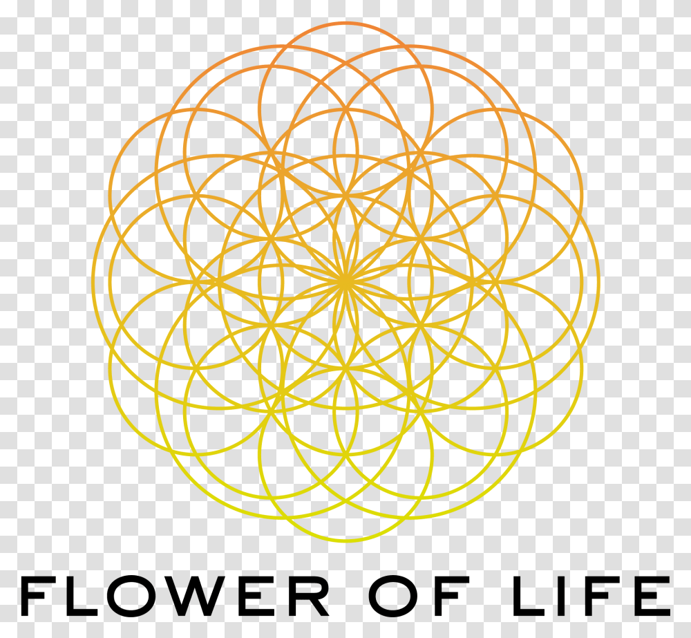 Flower Of Life, Ornament, Pattern, Fractal, Chandelier Transparent Png