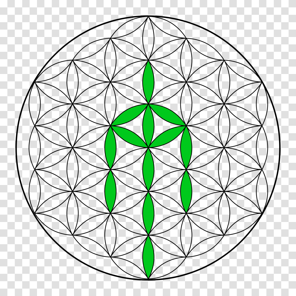 Flower Of Life, Pattern, Green, Ornament Transparent Png